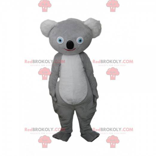 Mascotte grijze koala, Australisch kostuum, Australisch dier -