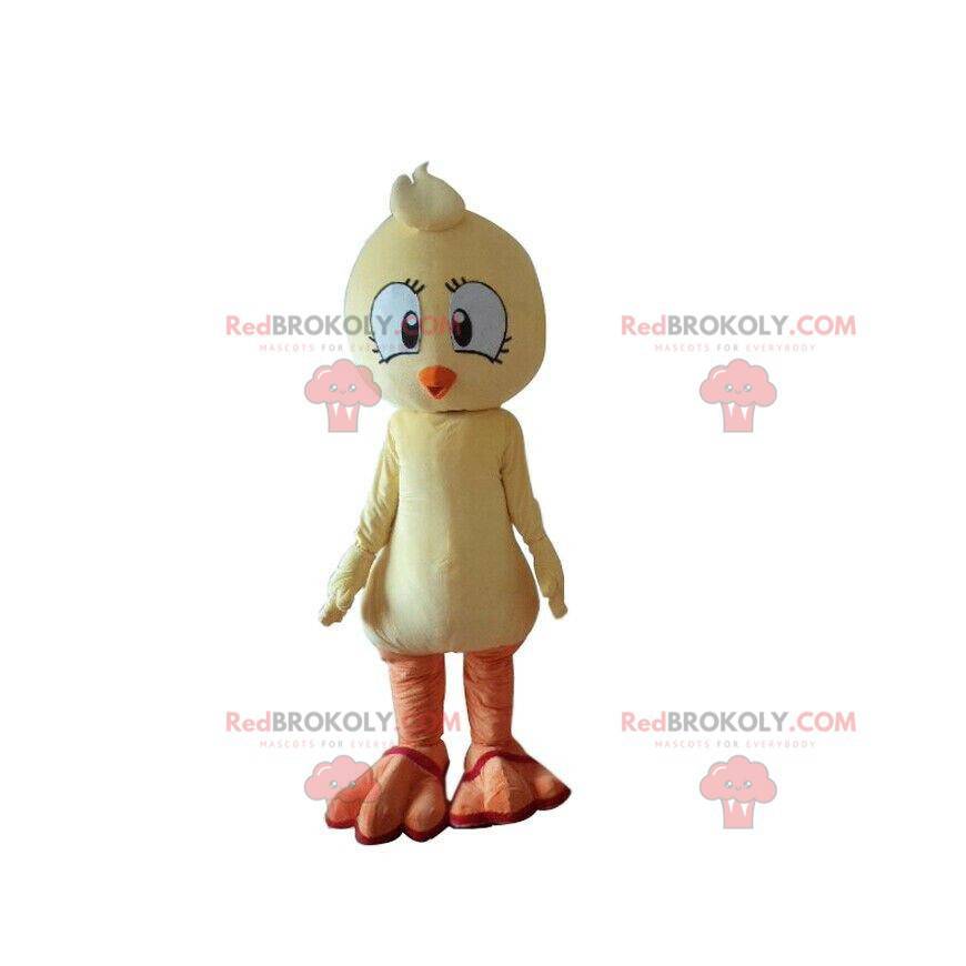 Gul fugl maskot, kanariefarve, kylling kostume - Redbrokoly.com Gul fugl maskot, kanariefarve, kylling kostume - Redbrokoly.com