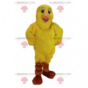 Kanarek maskotka, żółty kostium ptaka, gigantyczny ptak -
