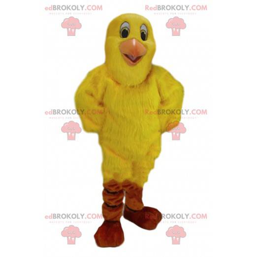 Kanarek maskotka, żółty kostium ptaka, gigantyczny ptak -
