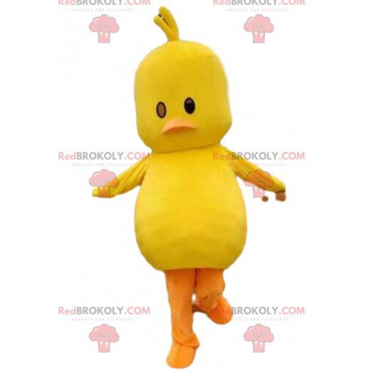 Mascot pollito amarillo, traje de pájaro amarillo gigante -