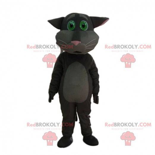 Gray cat mascot looking moving, bewitching costume -
