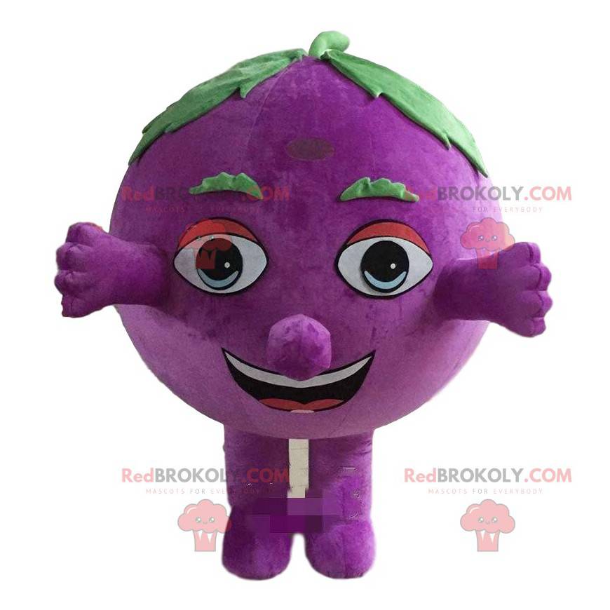 Mascote de uva, fantasia de mirtilo gigante - Redbrokoly.com