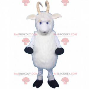 Mascote ovelha, cabra, carneiro branco com chifres -