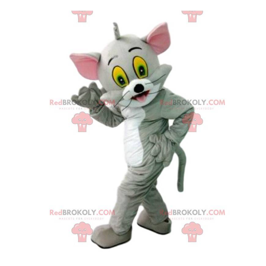 Tom, la famosa mascota del gato gris de la caricatura Tom y Tom, la famosa mascota del gato gris de la caricatura Tom y