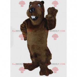 Brown beaver mascot, rodent costume, giant beaver -