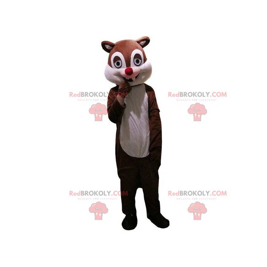 Brown squirrel mascot cartoon way, rodent costume -