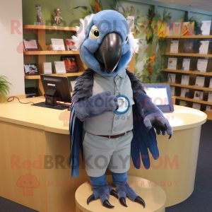 Grå Macaw maskot drakt...