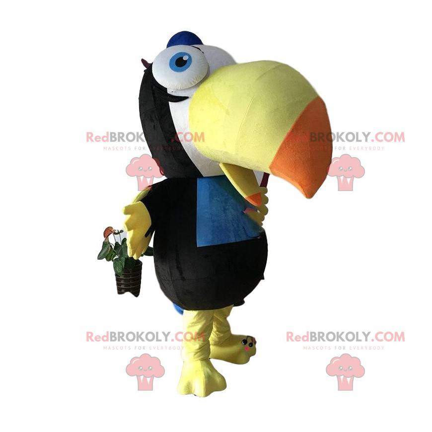 Mascote de tucano gigante, fantasia de papagaio muito engraçada