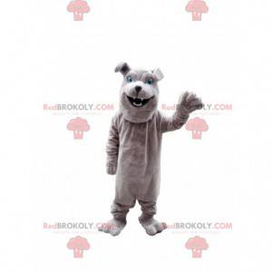 Mascotte bulldog grigio, costume da cane di razza -