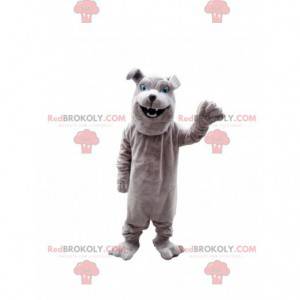 Mascotte de bulldog gris, costume de chien de race -
