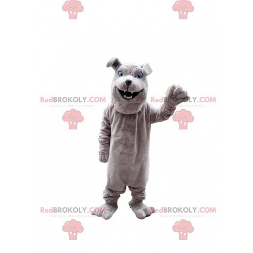 Mascotte de bulldog gris, costume de chien de race -