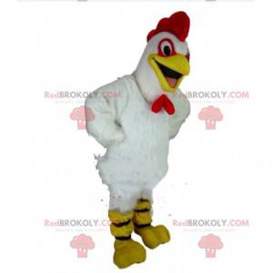 Mascotte de poule, de coq blanc, costume de poulet -