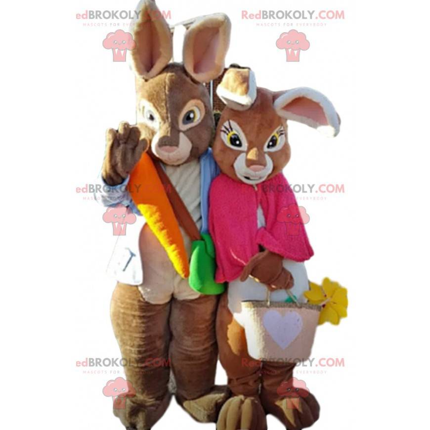 2 mascotas de conejos marrones, pareja de conejos de colores - 2 mascotas de conejos marrones, pareja de conejos de colores -