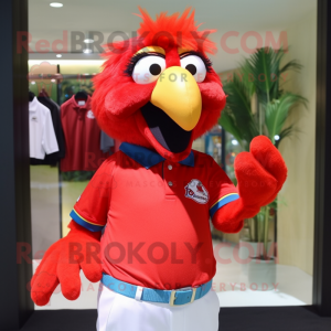 Rød Macaw maskot kostume...