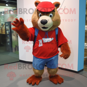 Red Beaver mascotte kostuum...