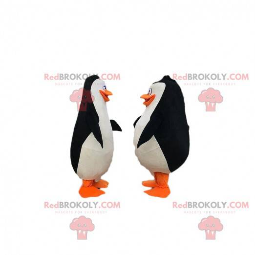 2 pinguins do desenho animado "Os pinguins de Madagascar" -