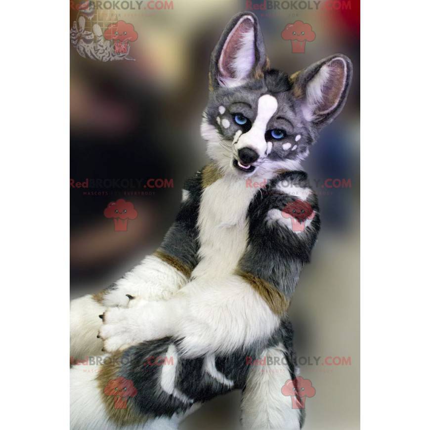Šedá, bílá a hnědá psí maskot - Redbrokoly.com Šedá, bílá a hnědá psí maskot - Redbrokoly.com
