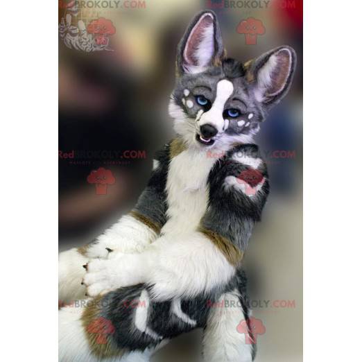 Mascota de perro gris blanco y marrón - Redbrokoly.com
