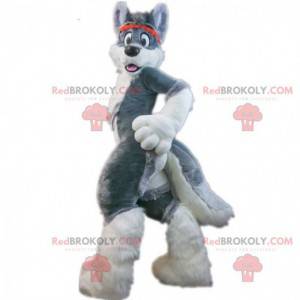 Mascotte grijze husky hond, harige hond kostuum, vos -