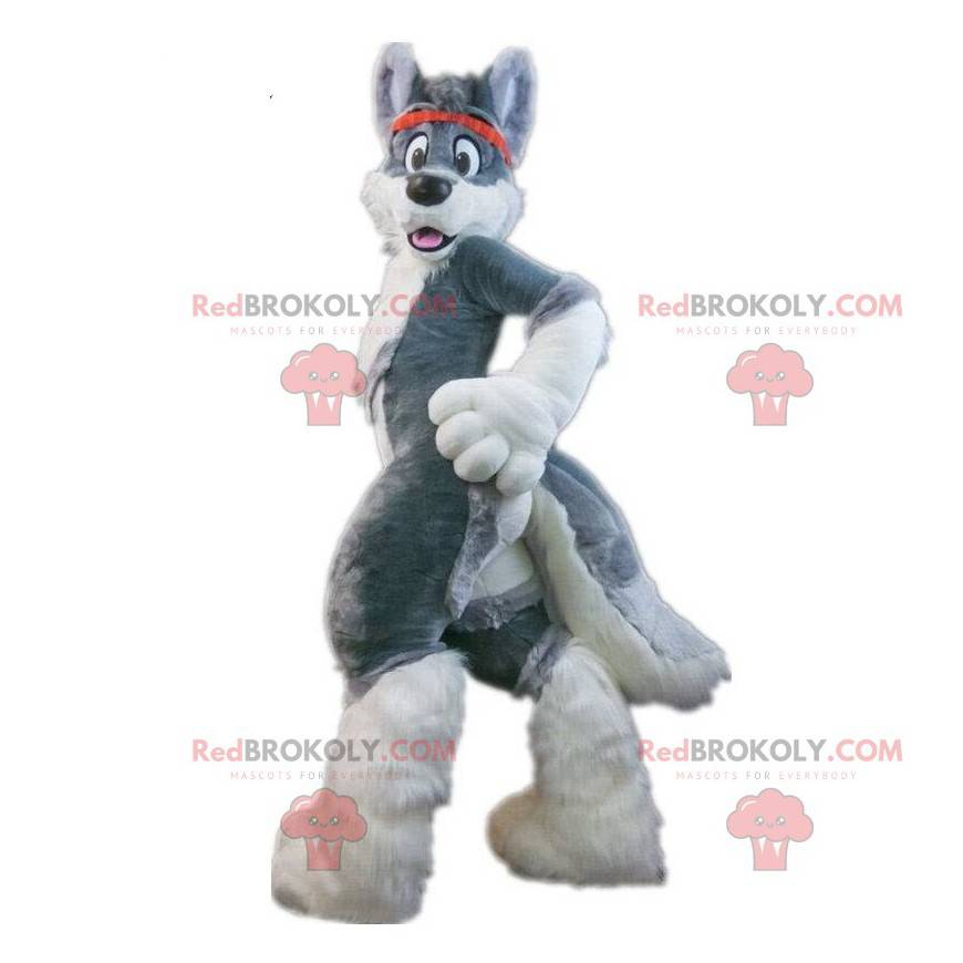 Mascotte de chien husky gris, costume de chien poilu, de renard
