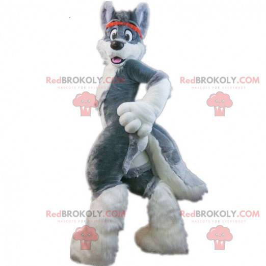 Mascote de cachorro husky cinza, fantasia de cachorro peludo