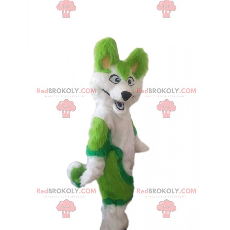 Mascota de perro husky blanco y verde, disfraz de zorro peludo