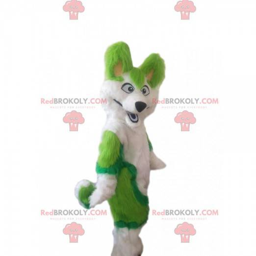 Biało-zielona maskotka husky pies, kostium włochaty lis -