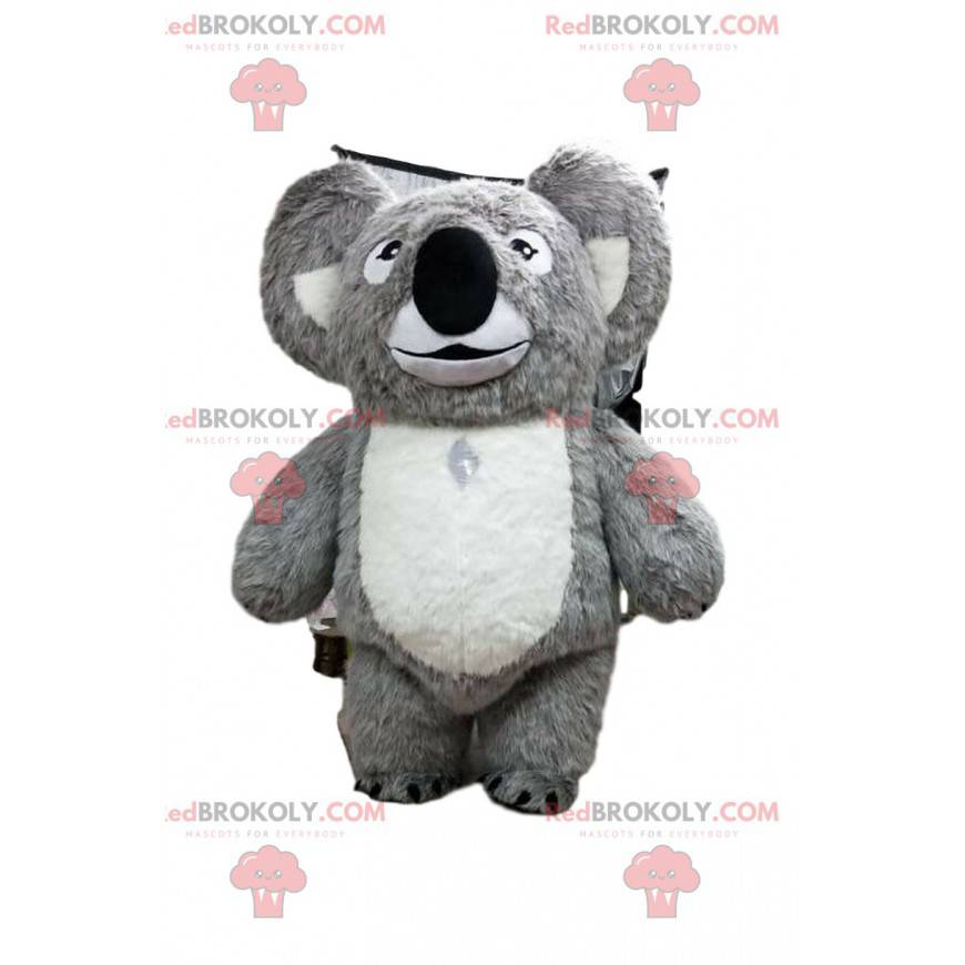 Mascotte koala grigio e bianco, costume Austalia -