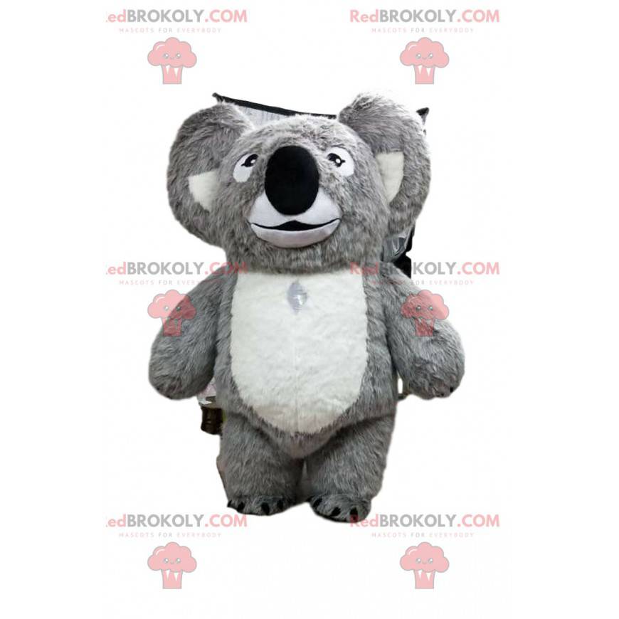 Šedá a bílá maskot koala, kostým Austalia - Redbrokoly.com Šedá a bílá maskot koala, kostým Austalia - Redbrokoly.com