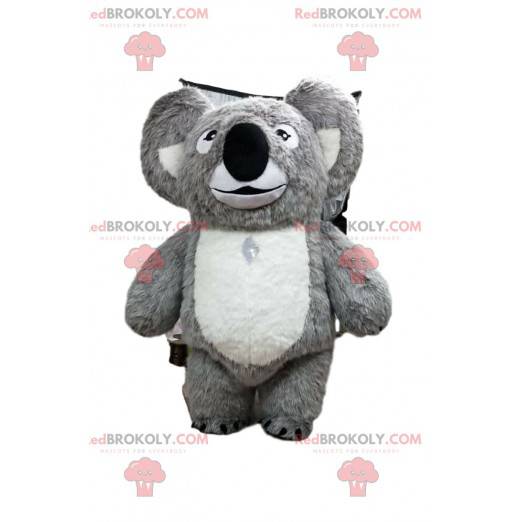 Mascota de koala gris y blanco, traje de Austalia -