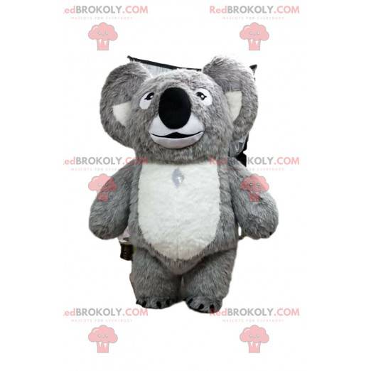 Mascotte koala grigio e bianco, costume Austalia -