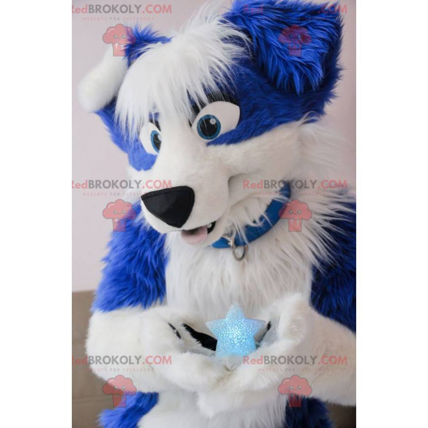 Modré a bílé psí maskot - Redbrokoly.com Modré a bílé psí maskot - Redbrokoly.com