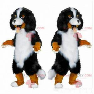 Mascote de Bernese Mountain Dog, fantasia de cão de raça pura -