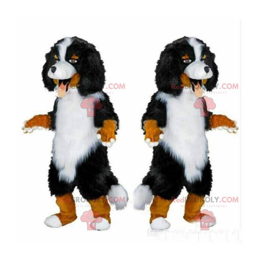 Mascote de Bernese Mountain Dog, fantasia de cão de raça pura -