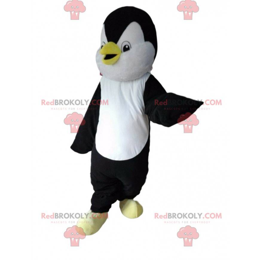 Mascotte de pingouin, costume de manchot noir et blanc -