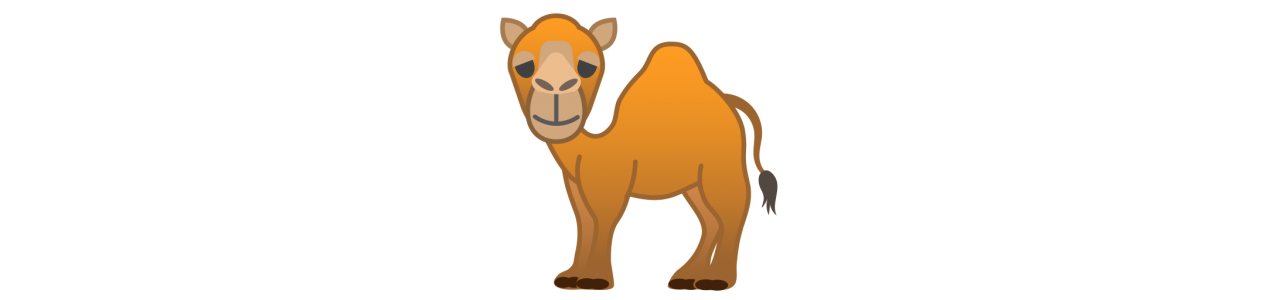Kamelen / dromedarismascottes - Mascottekostuum -