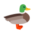 Duck Mascots