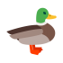 Mascottes de canard