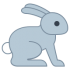 Mascota conejo