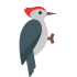 Woodpecker Mascots