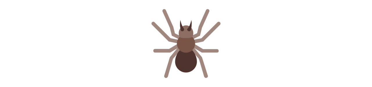 Spinnenmaskottchen - Maskottchenkostüm -