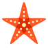 mascotes estrela do mar