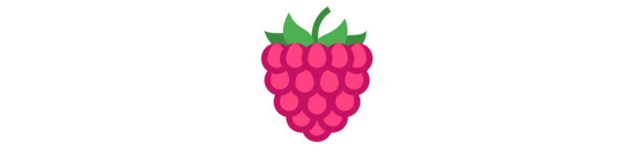 Raspberry Mascots - Mascot Costumes -