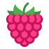 Raspberry Mascots