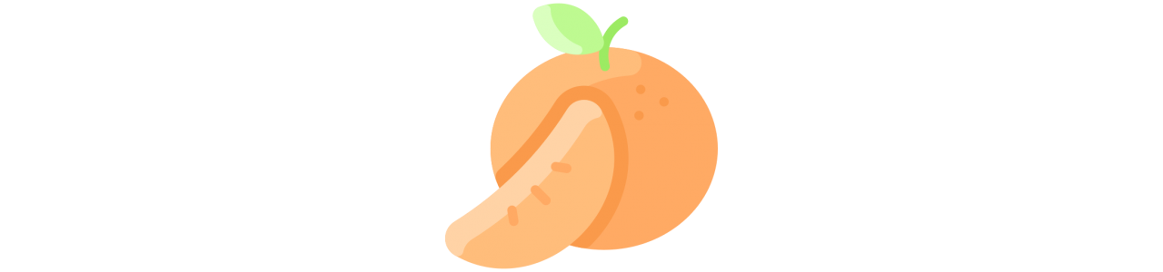 Mascotte mandarino - Costume mascotte -