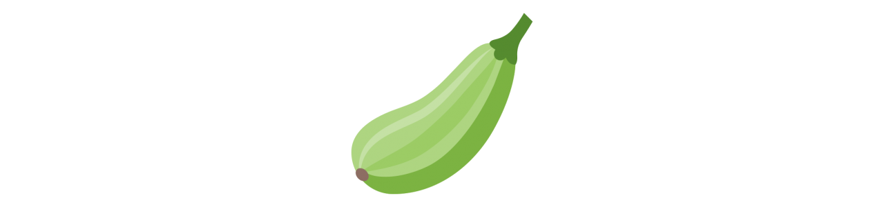 Zucchini-Maskottchen - Maskottchenkostüm -