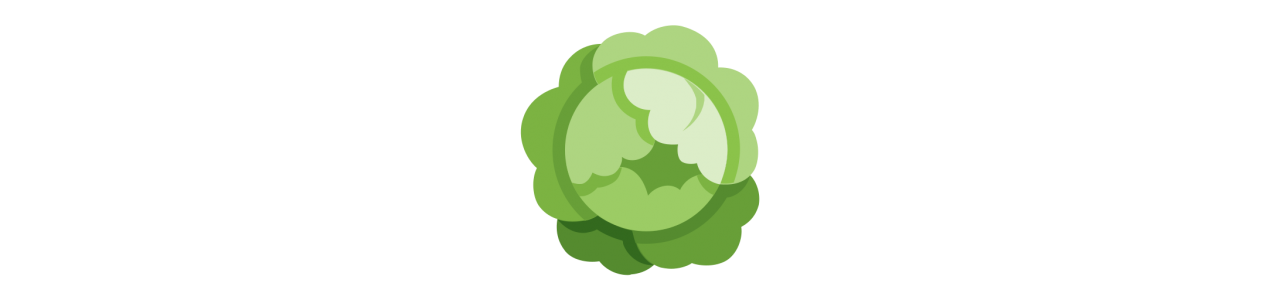 Cabbage Mascots - Mascot Costumes - Redbrokoly.com