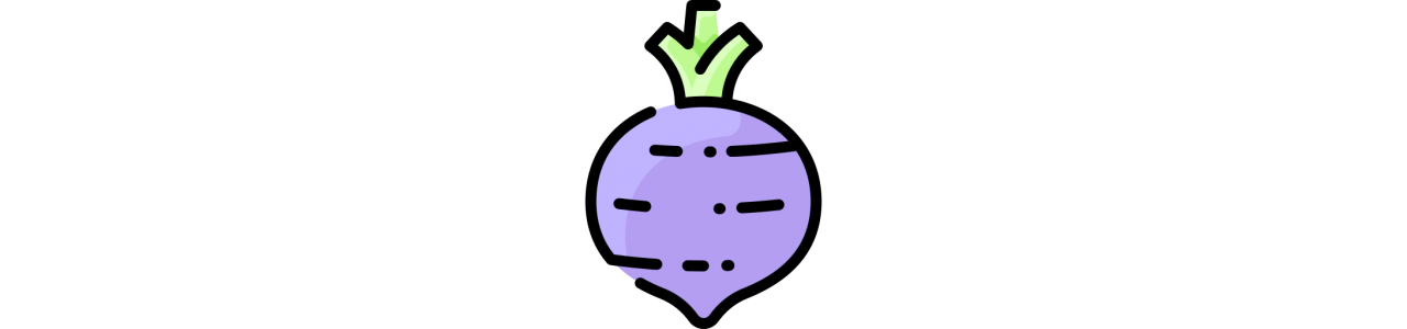 Turnip Mascots - Mascot Costumes - Redbrokoly.com