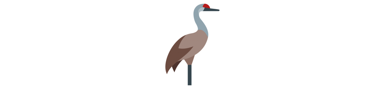 Dodo Fuglemaskoter - Maskotkostume -